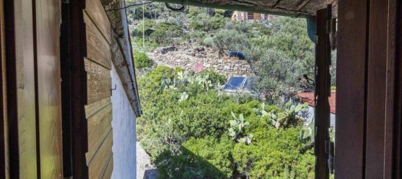6 rooms Apartment in Capraia Isola, Italy No. 151557 24