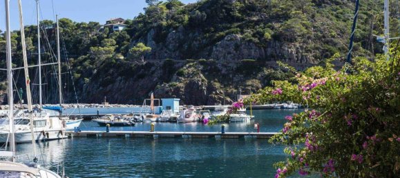 6 rooms Apartment in Capraia Isola, Italy No. 151557 49