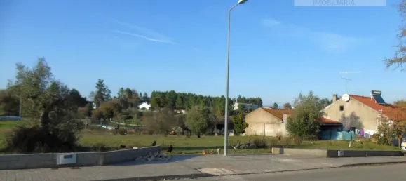  قطعة أرض في Asseiceira, Portugal رقم 68333 11