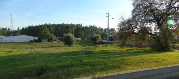  قطعة أرض في Asseiceira, Portugal رقم 68333 3