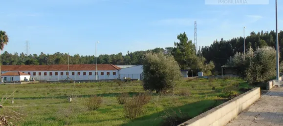  قطعة أرض في Asseiceira, Portugal رقم 68333 9