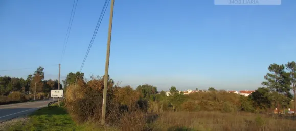  قطعة أرض في Asseiceira, Portugal رقم 68333 12