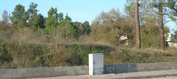  قطعة أرض في Asseiceira, Portugal رقم 68333 8