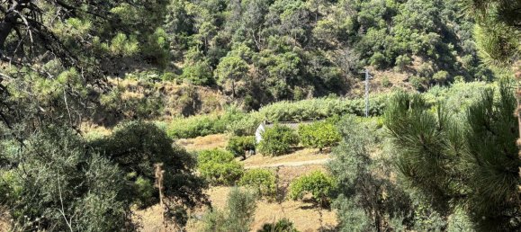 Terreno em Estepona, Spain 13391 m² N.º 147713 5