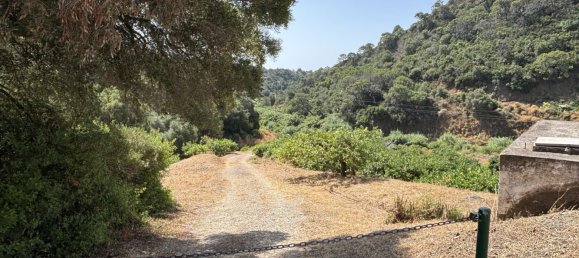 Terreno em Estepona, Spain 13391 m² N.º 147713 14