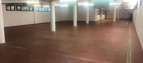 513m² Commercial property in Spresiano, Italy No. 169572 3