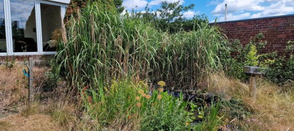 Дом с 1 спальней в Анхальт-Биттерфельд, Германия № 287384 5