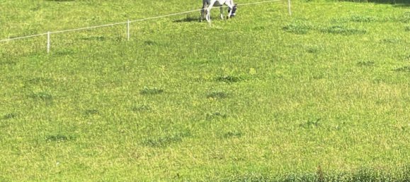 3 rooms Apartment in Ostholstein, Germany No. 365819 16