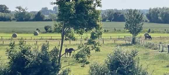 3 rooms Apartment in Ostholstein, Germany No. 365819 17