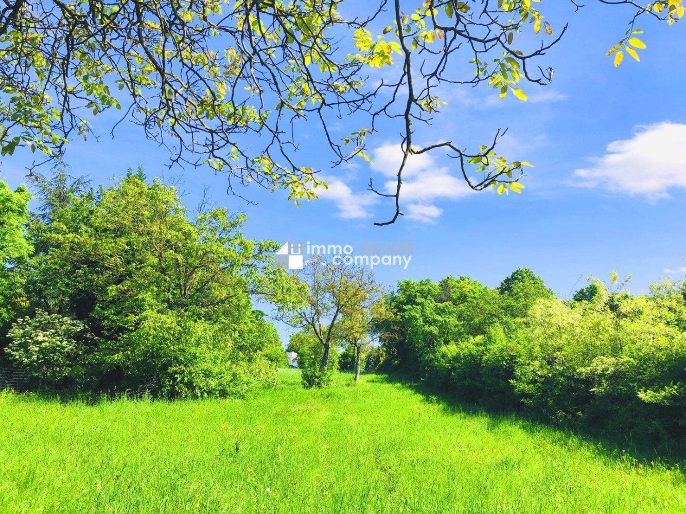 Grundstück in Eisenstadt Umgebung, Austria, Nr. 162903