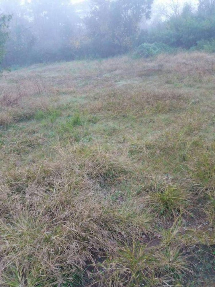 Grundstück in Pilar, Argentina, Nr. 35486