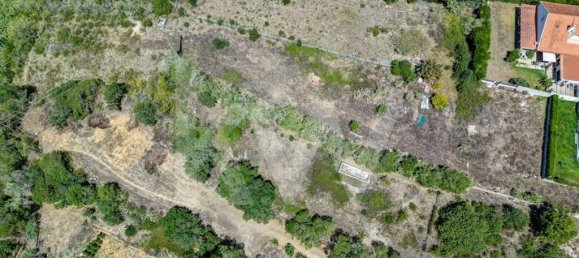 Grundstück in Mafra, Portugal 3200m², Nr. 159976 4