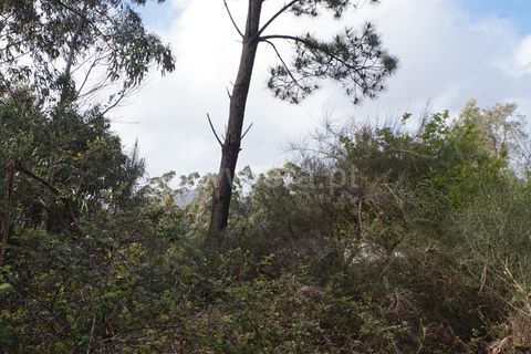  Land in Barcelos, Portugal No. 205224