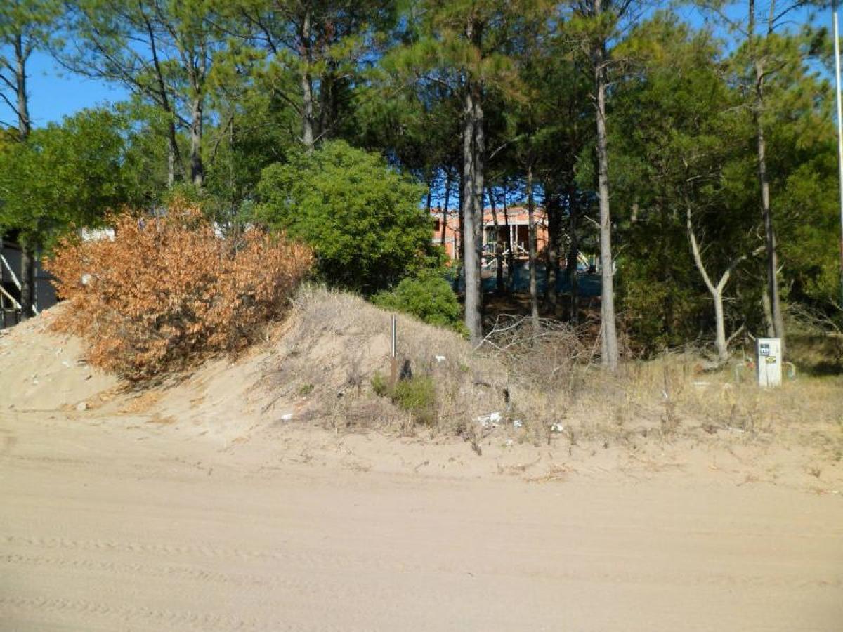  قطعة أرض في Mar del Plata, Argentina رقم 113663