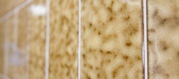 5-salle Appartement à Baden, Austria No. 195300 6