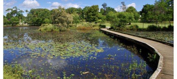 2 غرف نوم منزل في Mapleton, Australia رقم 1080 11