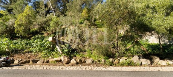 9 bedrooms Land in Cascais, Portugal No. 109712 7