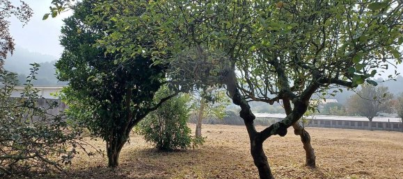 4 Schlafzimmer Haus in Canelas, Portugal, Nr. 28150 22