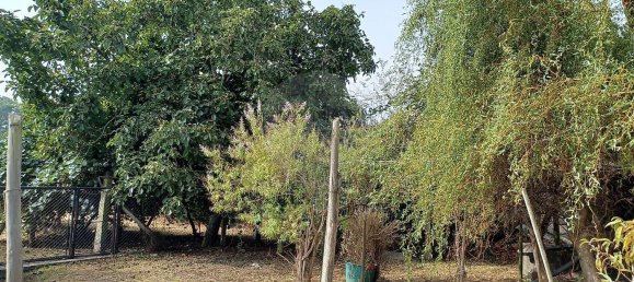 4 Schlafzimmer Haus in Canelas, Portugal, Nr. 28150 21