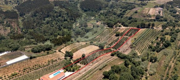 3 غرف نوم منزل في Leiria, Portugal رقم 186560 4