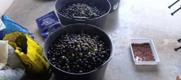 3 bedrooms House in Dolores, Spain No. 185190 3