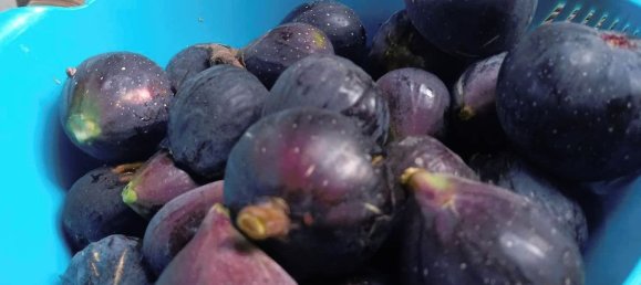 3 bedrooms House in Dolores, Spain No. 185190 5