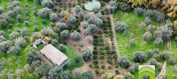 Casa T5 em Noto, Italy N.º 270133 29