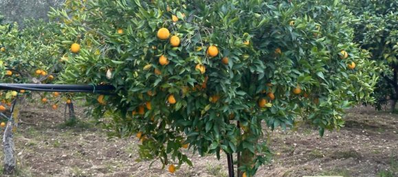 Casa T5 em Noto, Italy N.º 270133 31