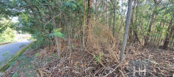 690m² Land in Santa Cruz, Portugal No. 136959 6