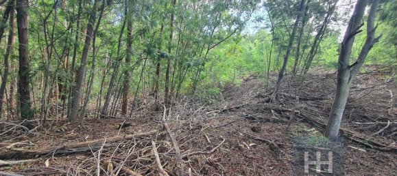 690m² Land in Santa Cruz, Portugal No. 136959 8