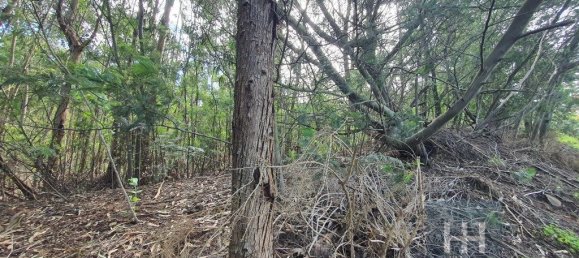 690m² Land in Santa Cruz, Portugal No. 136959 4