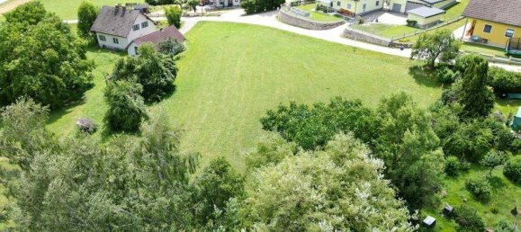 2882m² Land in Sittersdorf, Austria No. 20801 4