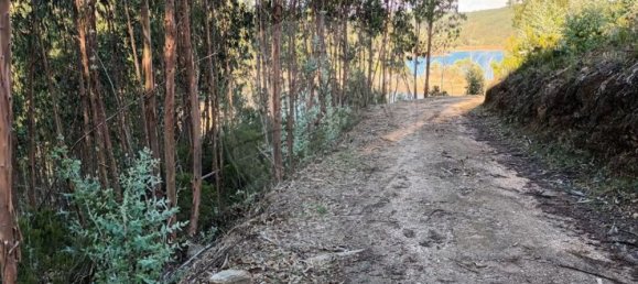 2880m² Land in Tomar, Portugal No. 71254 2