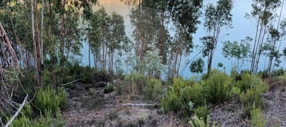 2880m² Land in Tomar, Portugal No. 71254 3