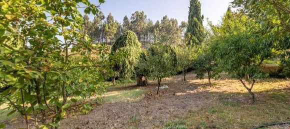 4 Schlafzimmer Haus in Revelhe, Portugal, Nr. 21132 19