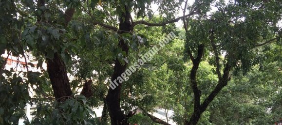 Квартира 45м² в Район 3, Вьетнам № 10798 15