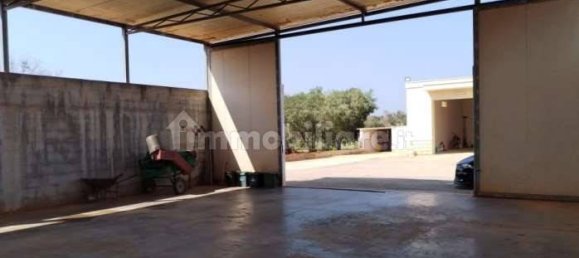 5 rooms House in Carovigno, Italy No. 345419 7