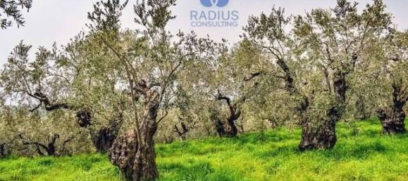 5 rooms House in Carovigno, Italy No. 345419 15