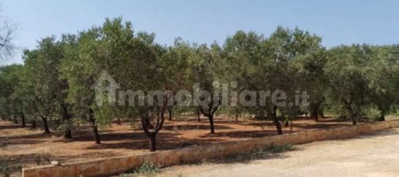 5 rooms House in Carovigno, Italy No. 345419 9