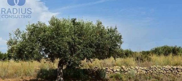 5 rooms House in Carovigno, Italy No. 345419 16