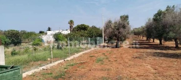 5 rooms House in Carovigno, Italy No. 345419 8