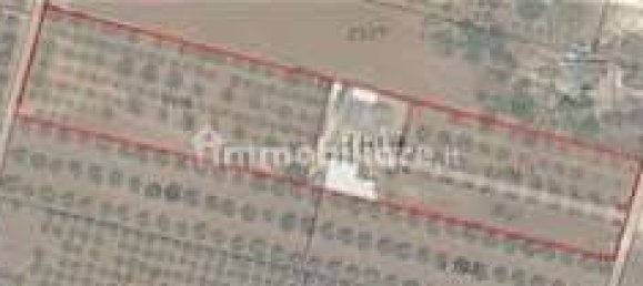 5 rooms House in Carovigno, Italy No. 345419 10