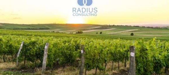 5 rooms House in Carovigno, Italy No. 345419 17