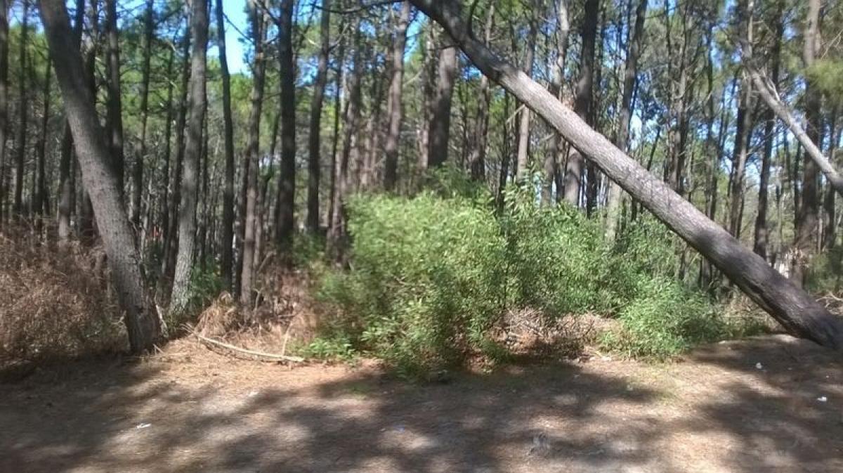  Land in Mar del Plata, Argentina No. 114590