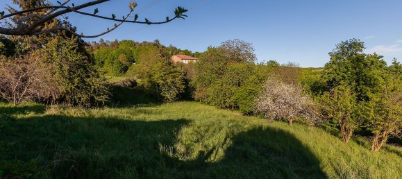 9 bedrooms Villa in Sciolze, Italy No. 339604 14