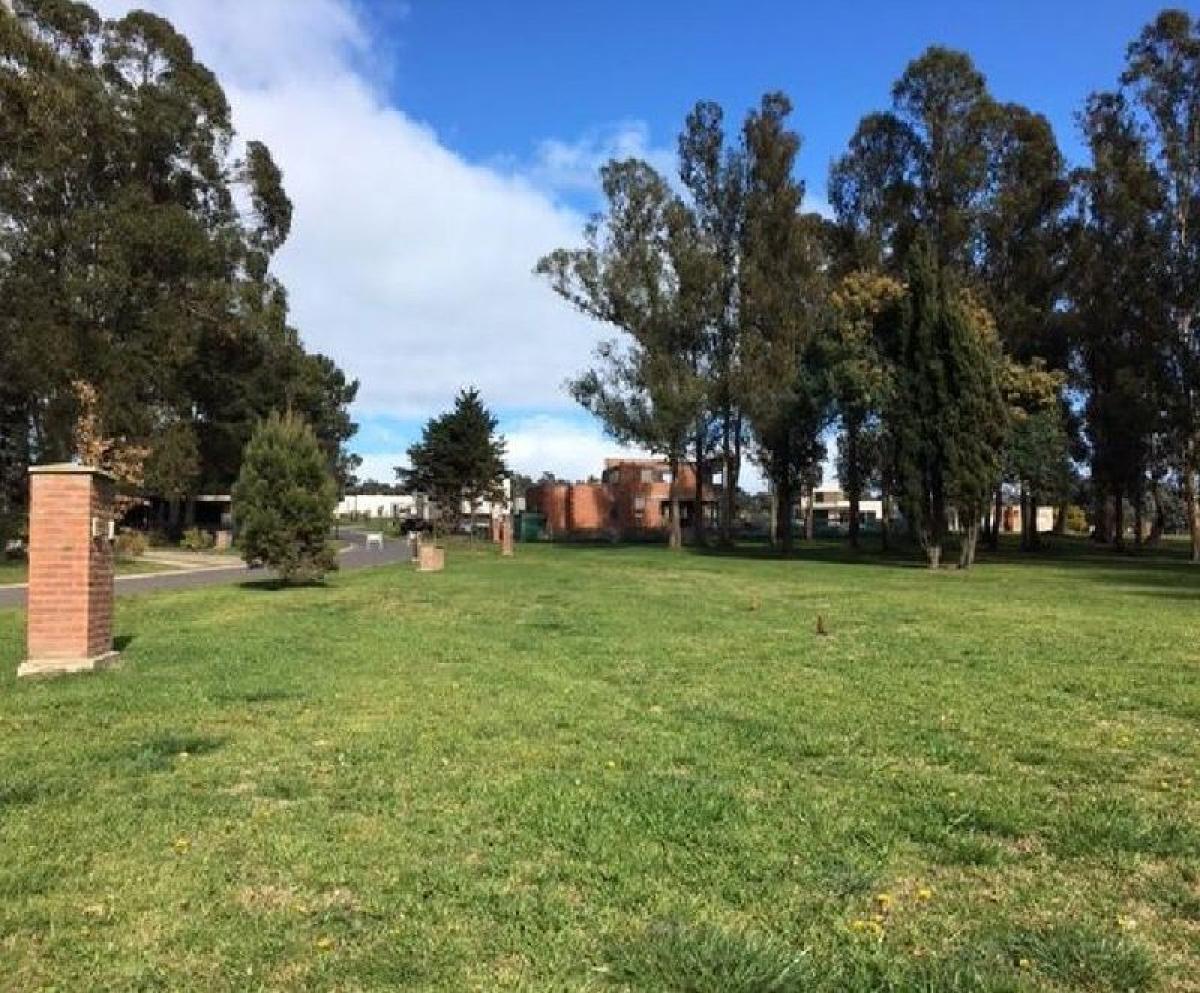  Land in Mar del Plata, Argentina No. 114615