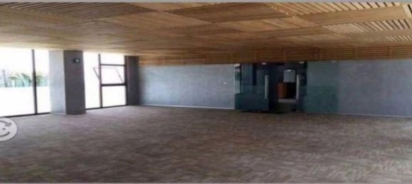 Studio in Mexicali, Mexico, Nr. 155142 2