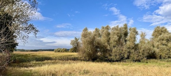 5 rooms House in Vorpommern-Greifswald, Germany No. 125950 6