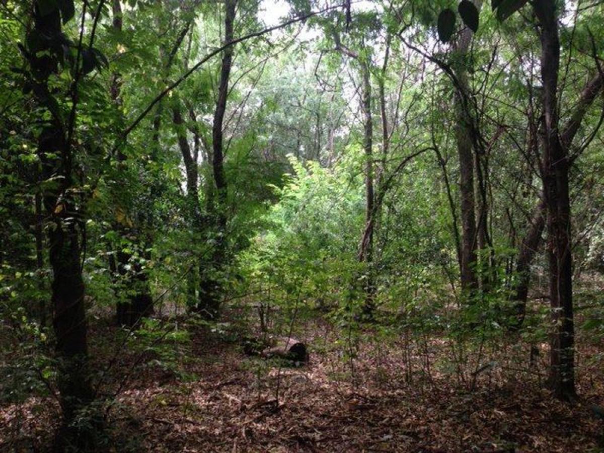 Terrain à San Miguel, Argentina No. 42373