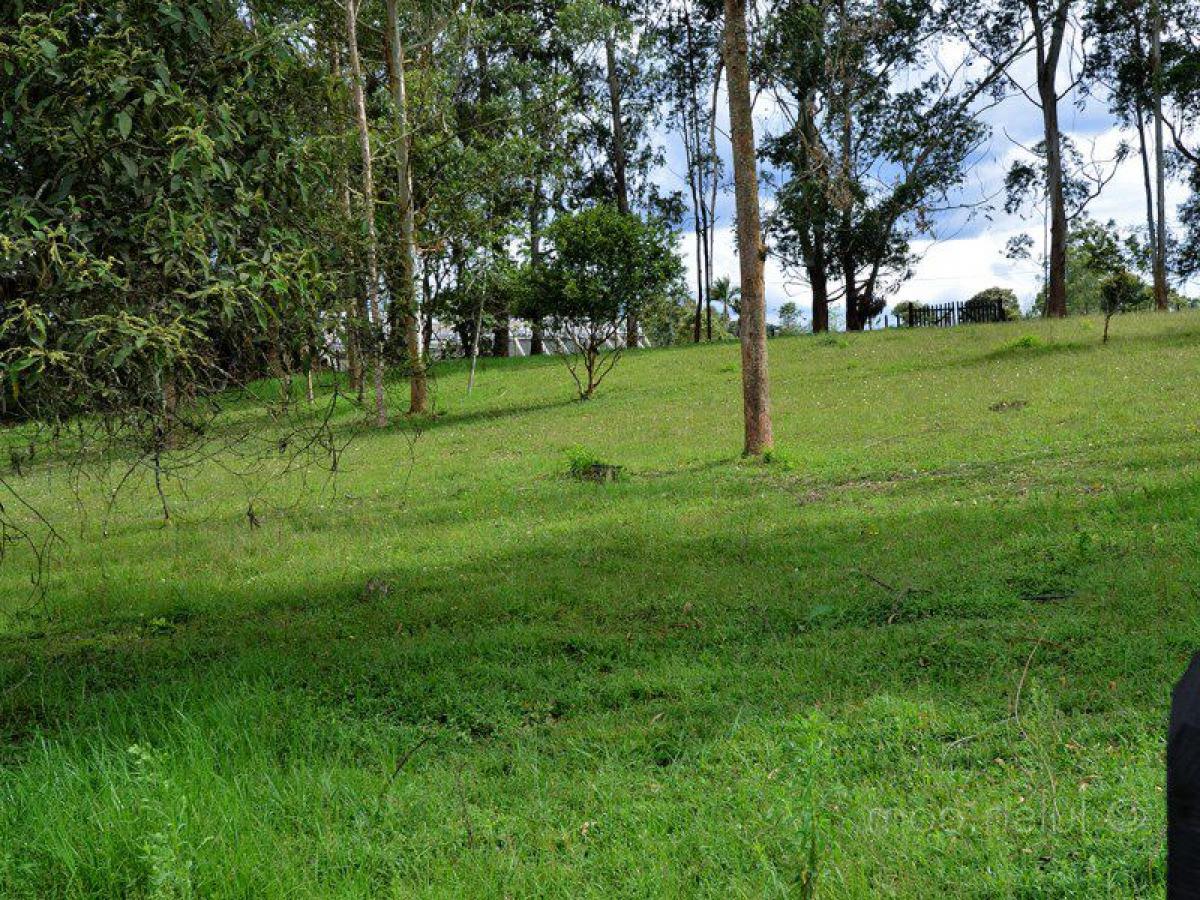 Земельный участок в Антьокия, Колумбия № 171